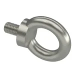 DIN 580 Stainless Steel Eye Bolt