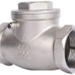 S/S 316 Non Return Valves